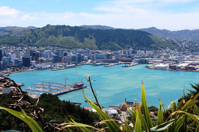 Wellington Shore Excursion City Sightseeing Tour - Accessibility and group comfort