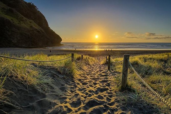 West Coast Discovery - Piha Beach or Muriwai Beach from Auckland - Auckland’s west coast in one half-day