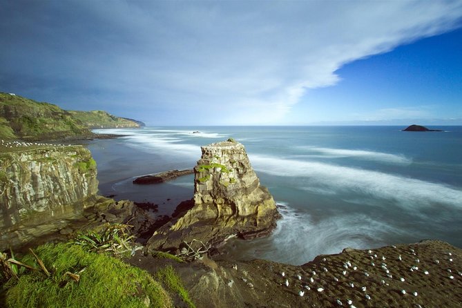 West Coast Discovery - Piha Beach or Muriwai Beach from Auckland - Muriwai Beach and the gannet colony