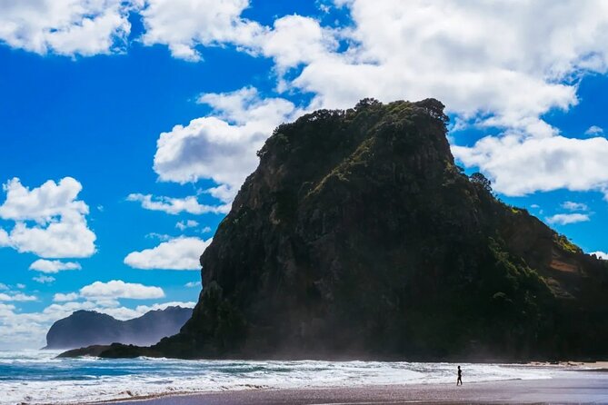 West Coast Discovery Piha Beach Private Tour - What the private tour changes