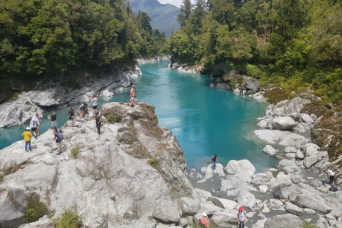 West Coast Full Day Tour - High among the rimu and kamahi trees