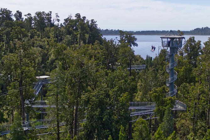 West Coast Tower Zipline & Treetop Walk Combo - A tandem zipline, not a long solo flight
