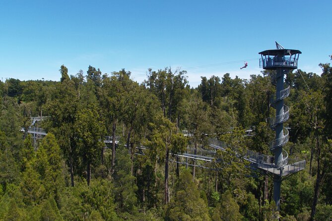 West Coast Tower Zipline & Treetop Walk Combo - What the private format changes