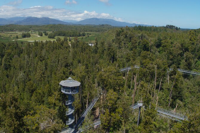 West Coast Tower Zipline & Treetop Walk Combo - The views and the café afterward