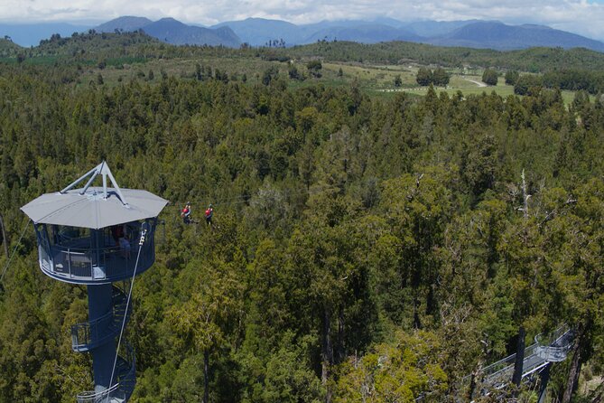 West Coast Tower Zipline & Treetop Walk Combo - Practical details that affect your decision