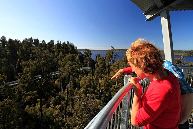 West Coast Tower Zipline & Treetop Walk Combo - Climbing the 106-step spiral tower