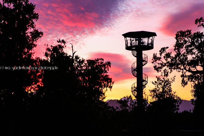 West Coast Treetop Walk - What the West Coast Treetop Walk actually feels like