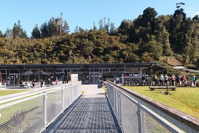 West Coast Treetop Walk - Timing, opening hours, and group size