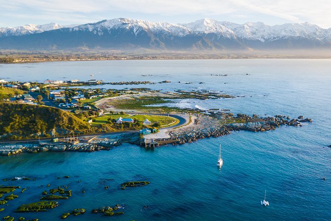Whale Watching in Kaikoura by Boat - How rough is the sea?