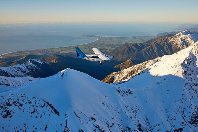 Whale Watching in Kaikoura - Ultimate Experience - Key points to know before booking