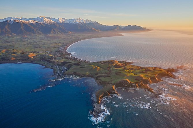 Whale Watching in Kaikoura - Ultimate Experience - Why seeing Kaikoura from above matters