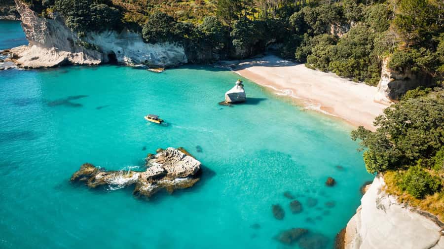 Whitianga: 2-Hour Cathedral Cove and Volcanic Coast Cruise - Wildlife watching along the marine reserve