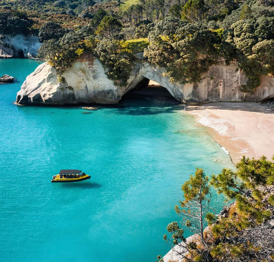 Whitianga: 2-Hour Cathedral Cove and Volcanic Coast Cruise - The guide can make or break a scenic cruise