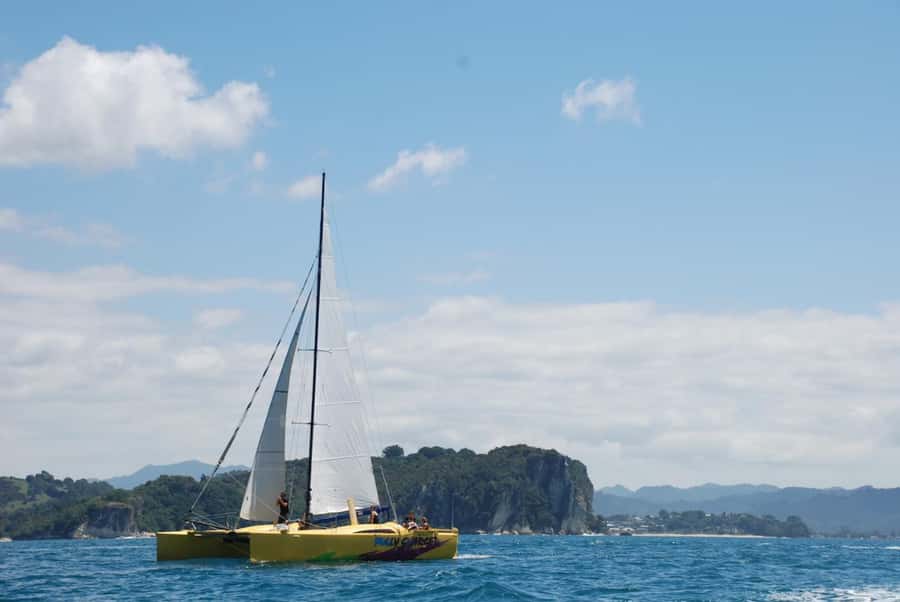 Whitianga: Sailing Trip to Cathedral Cove - Swimming and snorkeling in the marine reserve