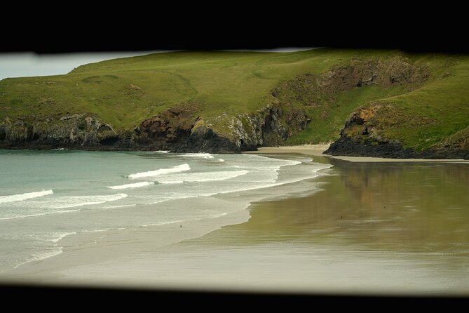 Wildlife and Penguin Tour - The rehabilitation centre offers the closest penguin views