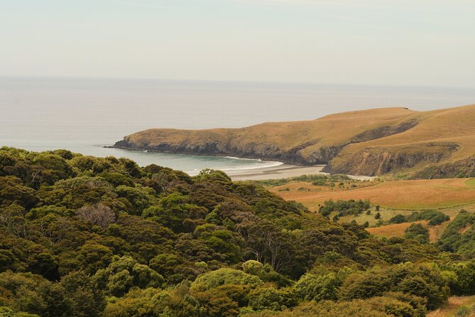 Wildlife and Penguin Tour - Is $46.54 good value?