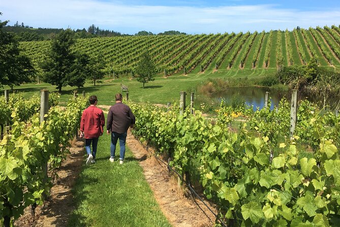 Wine Exposed Nelson Winery Tour - Why Nelson’s wine country works well for a half-day tour
