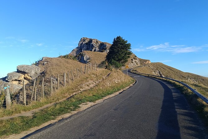 Wine & Sightseeing Cruise Tour 2.5hr | Award Winning Experience - The road to Te Mata Peak