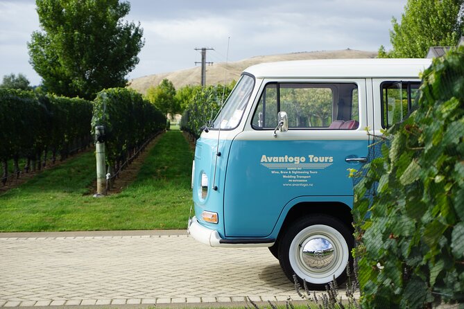 Wine Tour and Tastings in Hawkes Bay - The four-hour route from Napier