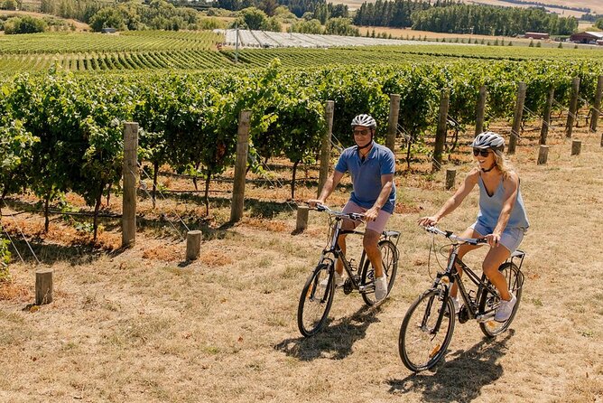 Wine trail and Christchurch City - Luxury, Small Group Tour - A sweet finish at She Chocolate