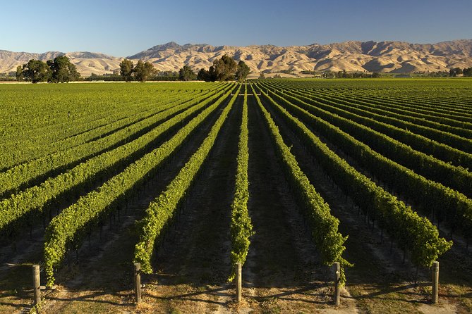 Wine trail and Christchurch City - Luxury, Small Group Tour - Is $387.86 a fair price?