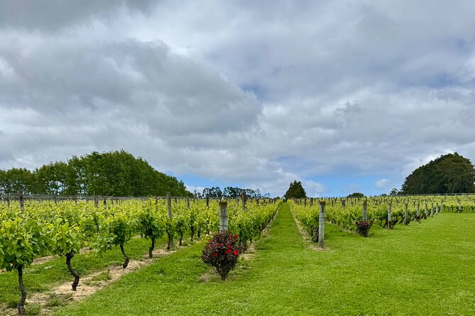 Wineries / Brewery - Weather, timing, and the Muriwai question