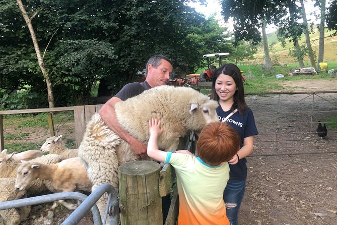 Wool Sheep Farm Experience with Handmade Wool Hat in New Zealand - Key points to know before you book