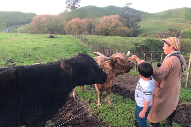 Wool Sheep Farm Experience with Handmade Wool Hat in New Zealand - Trying wool spinning by hand