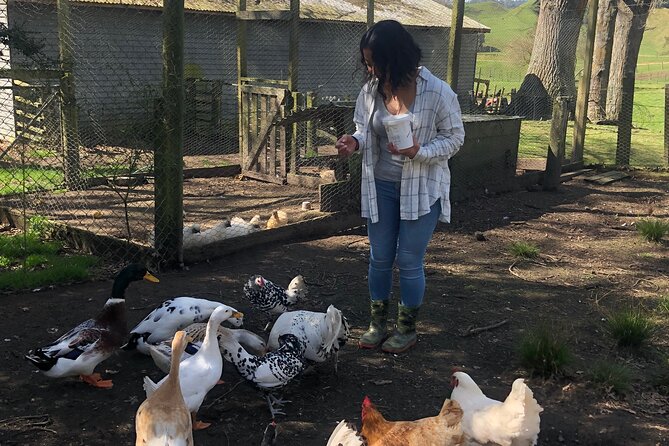 Wool Sheep Farm Experience with Handmade Wool Hat in New Zealand - Why the wool lesson matters in New Zealand