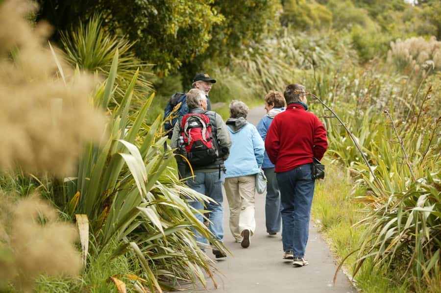 Zealandia by Day Tour - Why Zealandia is more than a bird walk