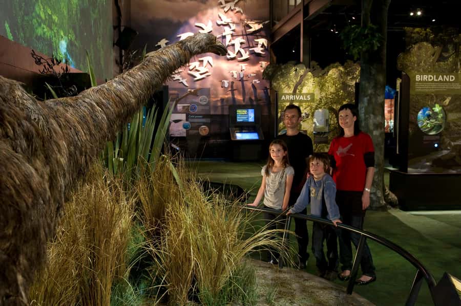 Zealandia by Day Tour - What the guide adds to the two-hour route