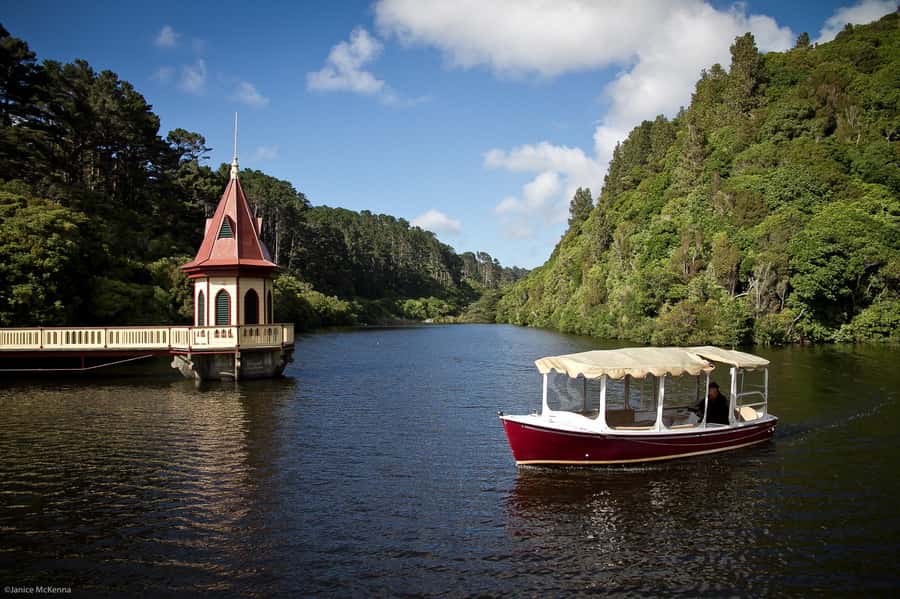 Zealandia by Day Tour - Is $41 good value?